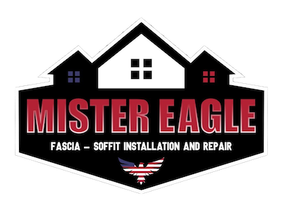 Mr Eagle